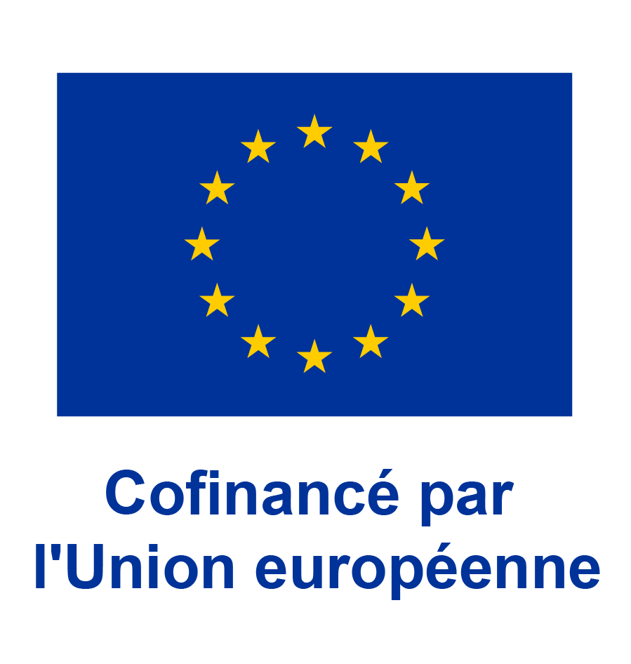 Fonds social européen
