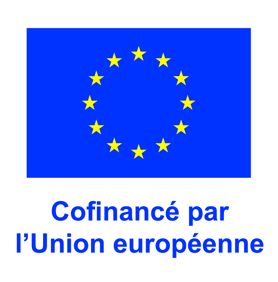 Fonds social européen