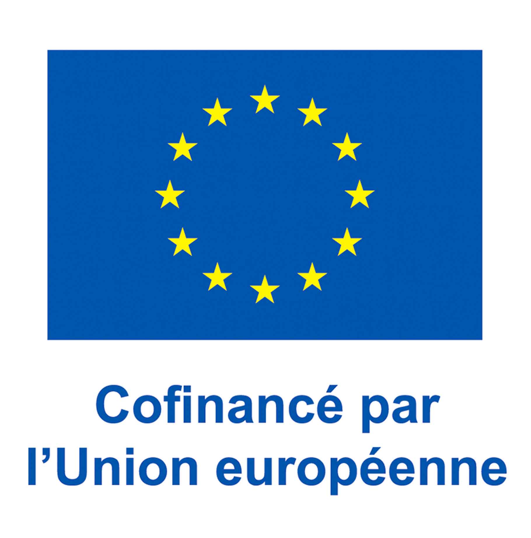 Fonds social européen